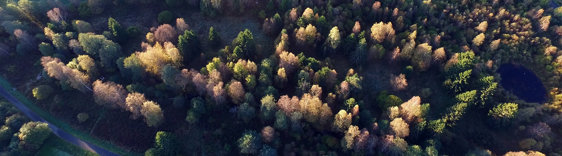 Banner-Environment